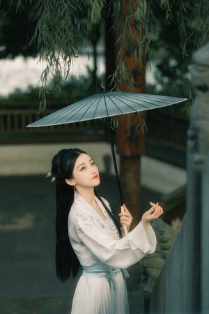 WWW4HU.COM永久域名的查询方式